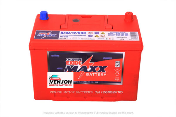 N50Z MAXX Maintenence Free Car Battery